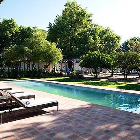 Noi Blend Colchagua Hotel Santa Cruz Ngoại thất bức ảnh
