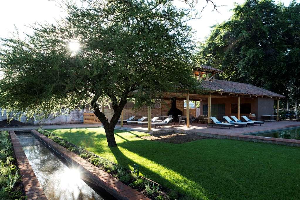 Noi Blend Colchagua Hotel Santa Cruz Ngoại thất bức ảnh