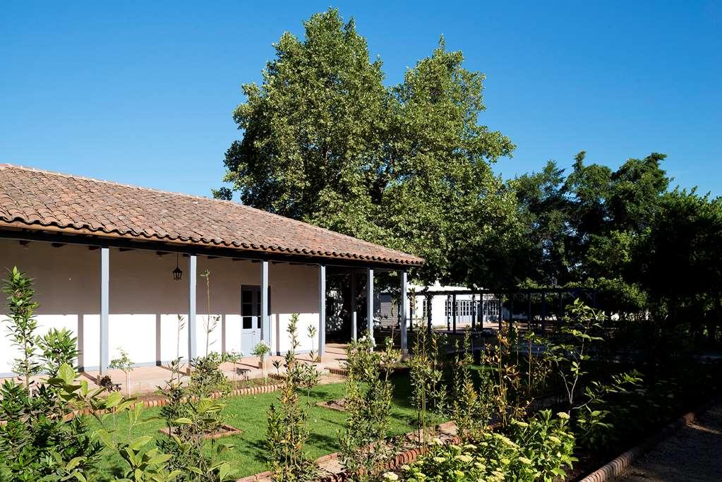 Noi Blend Colchagua Hotel Santa Cruz Ngoại thất bức ảnh