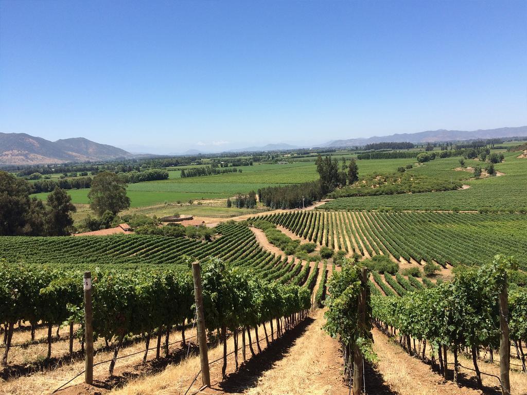 Noi Blend Colchagua Hotel Santa Cruz Ngoại thất bức ảnh