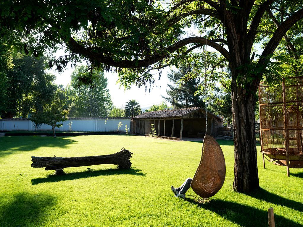 Noi Blend Colchagua Hotel Santa Cruz Ngoại thất bức ảnh
